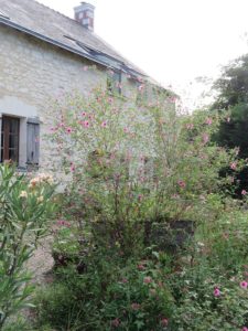 Gîte beaufort en vallée